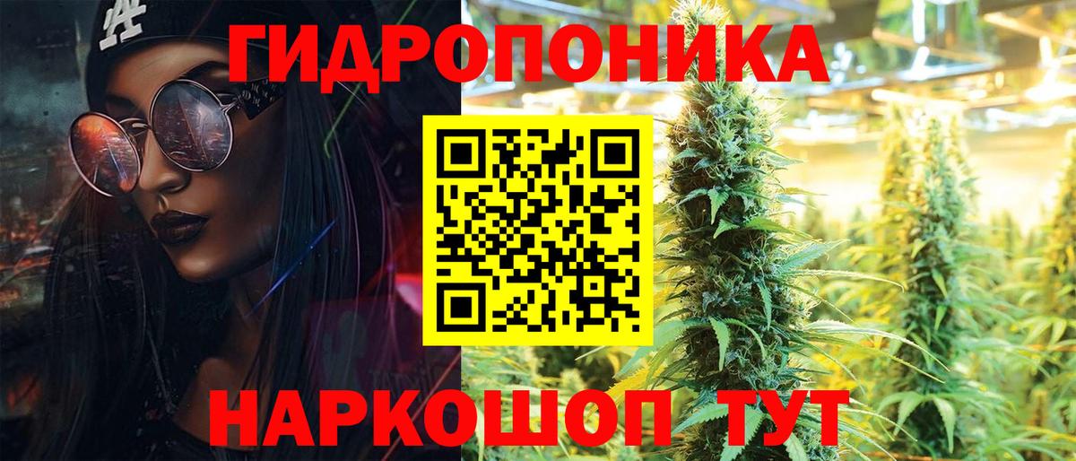 Бошки марихуана семена  МАРИХУАНА SATIVA & INDICA  Бошки Шишки Amnesia  Богородицк  Вход с VPN 